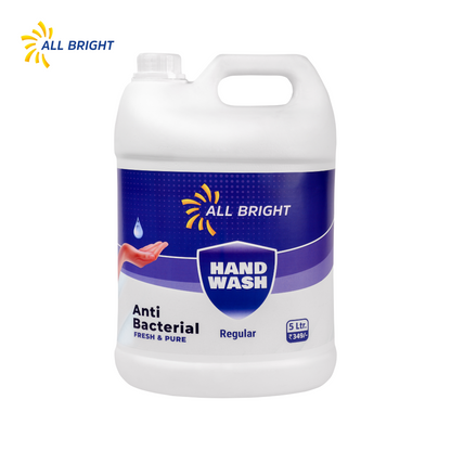 Hand Wash Regular 5ltr